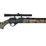 Daisy 2840 Camo with Scope